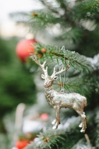 via: Kibogo Photography Weihnachtsschmuck goldenes Reh