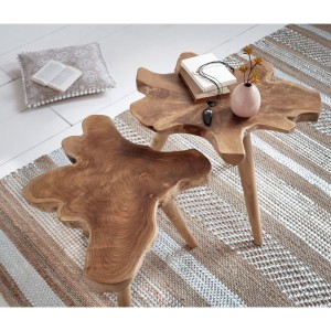 Foto: Schneider Treibholz Tisch natürliches Holztischchen