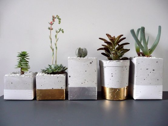 Foto: Glamour Forum Kaktus Terrarium Beton Deko Zement Blumentopf Gold Silber