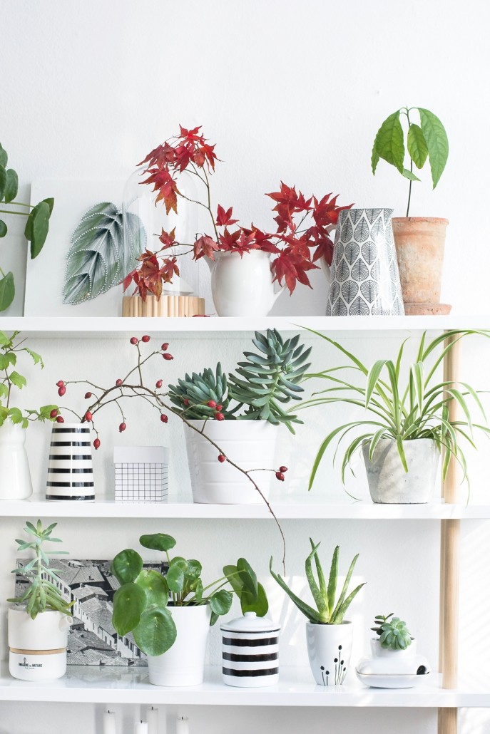 Foto: Sinnenrausch Plantshelfie Pflanzenregal