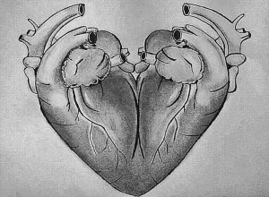 Foto: Pinterest zeichnung herz Organ Herzsymbol