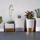 Kaktus Terrarium Beton Deko Zement Blumentopf Gold Silber