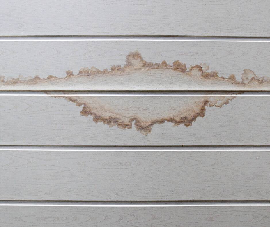 Wasserschaden Feuchte stelle an einer Deckenverkleidung